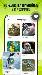 Vogelstimmen screenshot 4