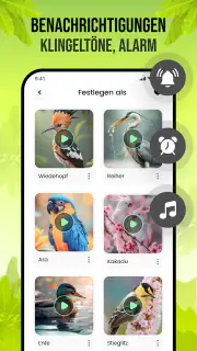 Vogelstimmen screenshot 5