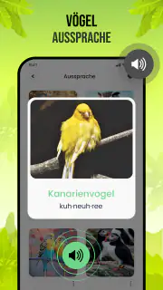 Vogelstimmen screenshot 7