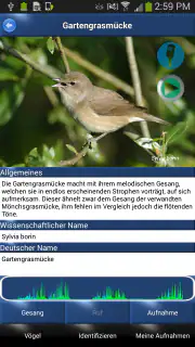 Vogelstimmen Id - Ruf + Gesang screenshot 2