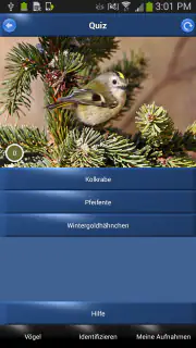 Vogelstimmen Id - Ruf + Gesang screenshot 5