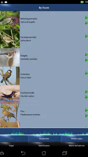 Vogelstimmen Id - Ruf + Gesang screenshot 6