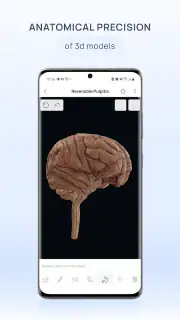 VOKA Anatomy Pro screenshot 2