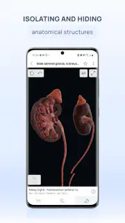 VOKA Anatomy Pro screenshot 4