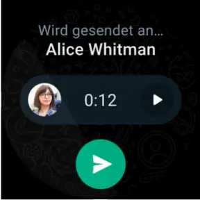 WhatsApp Messenger screenshot 8
