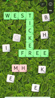 WordMix screenshot 1