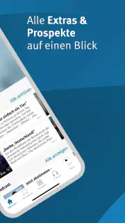 WP E-Paper screenshot 2