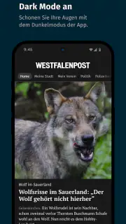 WP News screenshot 4