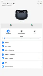 Xiaomi Earbuds screenshot 5