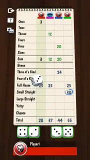 Yatzy mit Online Multiplayer screenshot 5