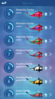 Zen Koi Pro screenshot 8