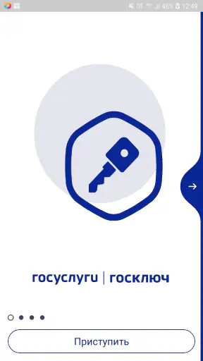 Госключ screenshot