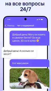 Жд билеты, отели, авиабилеты screenshot 6