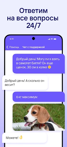 Жд билеты, отели, авиабилеты screenshot