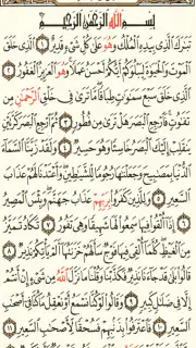 القرآن الكريم كامل بدون انترنت screenshot 1