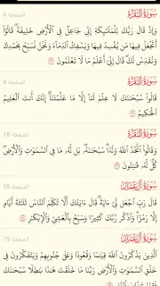 القرآن الكريم كامل بدون انترنت screenshot 7