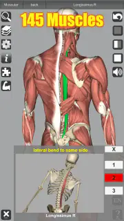 3D Anatomy screenshot 2