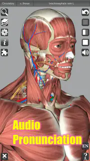 3D Anatomy screenshot 3