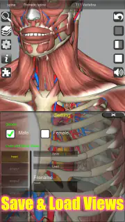 3D Anatomy screenshot 4