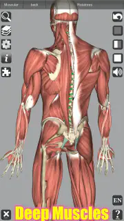 3D Anatomy screenshot 7