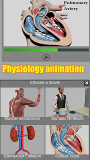 3D Anatomy screenshot 8
