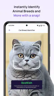 6Sense screenshot 1