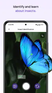 6Sense screenshot 3