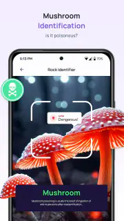 6Sense screenshot 4