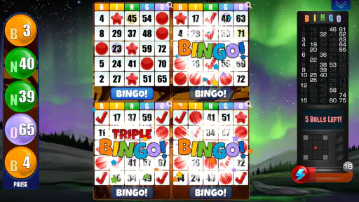 Absolute Bingo screenshot 2