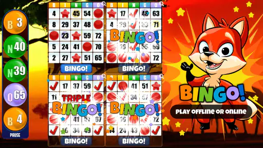 Absolute Bingo screenshot 3