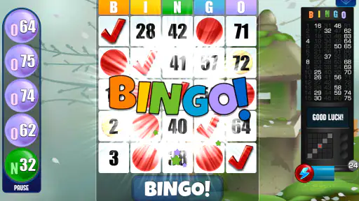Absolute Bingo screenshot 5