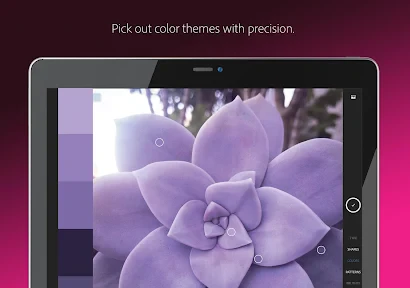 Adobe Capture: Illustrator,Ps screenshot