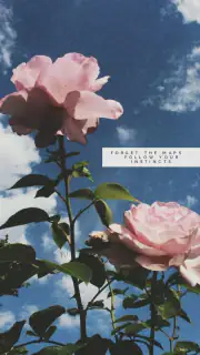 aesthetic background screenshot 4
