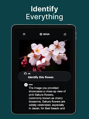 AI Chatbot - Nova screenshot