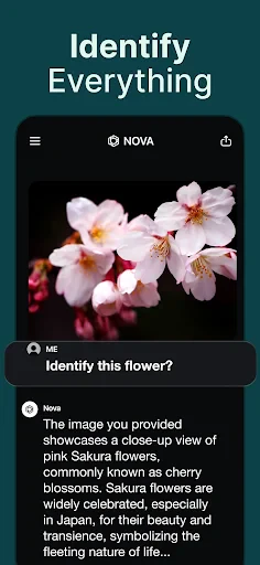 AI Chatbot - Nova screenshot