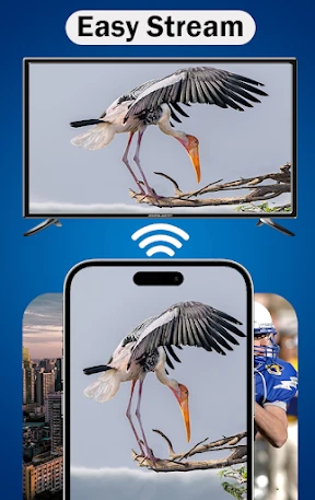 AirPlay screenshot