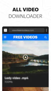 All Video Downloader - Browser screenshot 2