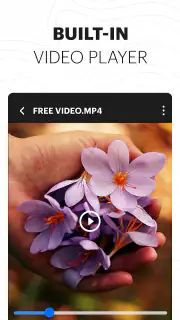 All Video Downloader - Browser screenshot 6