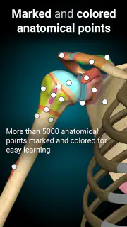 Anatomy Learning - 3D Anatomy screenshot 3