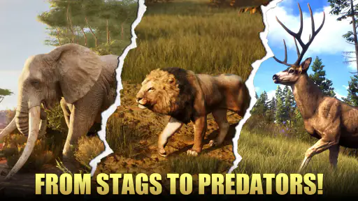 Animal Hunter : Wild Sniper screenshot 5