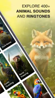 Animal Sounds and Ringtones screenshot 2