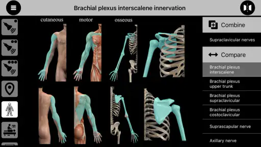 AnSo Anaesthesia Sonoanatomy screenshot 2