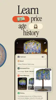 Antique Identifier Zophi screenshot 3