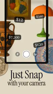 Antique Identifier Zophi screenshot 8