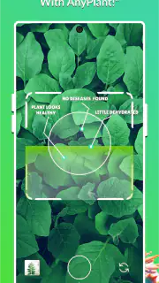 AnyPlant: AI Plant Identifier screenshot 3