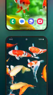 3D Aquarium Live Wallpaper screenshot 5