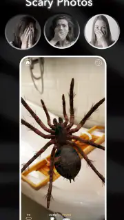 AR Spiders & Co: Scare friends screenshot 2