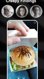 AR Spiders & Co: Scare friends screenshot 3