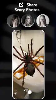 AR Spiders & Co: Scare friends screenshot 7