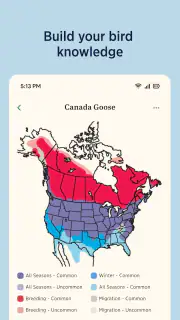 Audubon Bird Guide screenshot 6